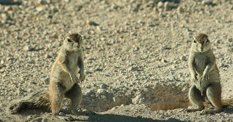 Youtube.com/Larry's Vintage Videos